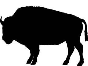 Description: C:\Users\Phil\Documents\New HP Web\Buffalo-right-small.gif